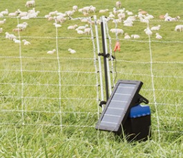 Solar Powered Electric Fence